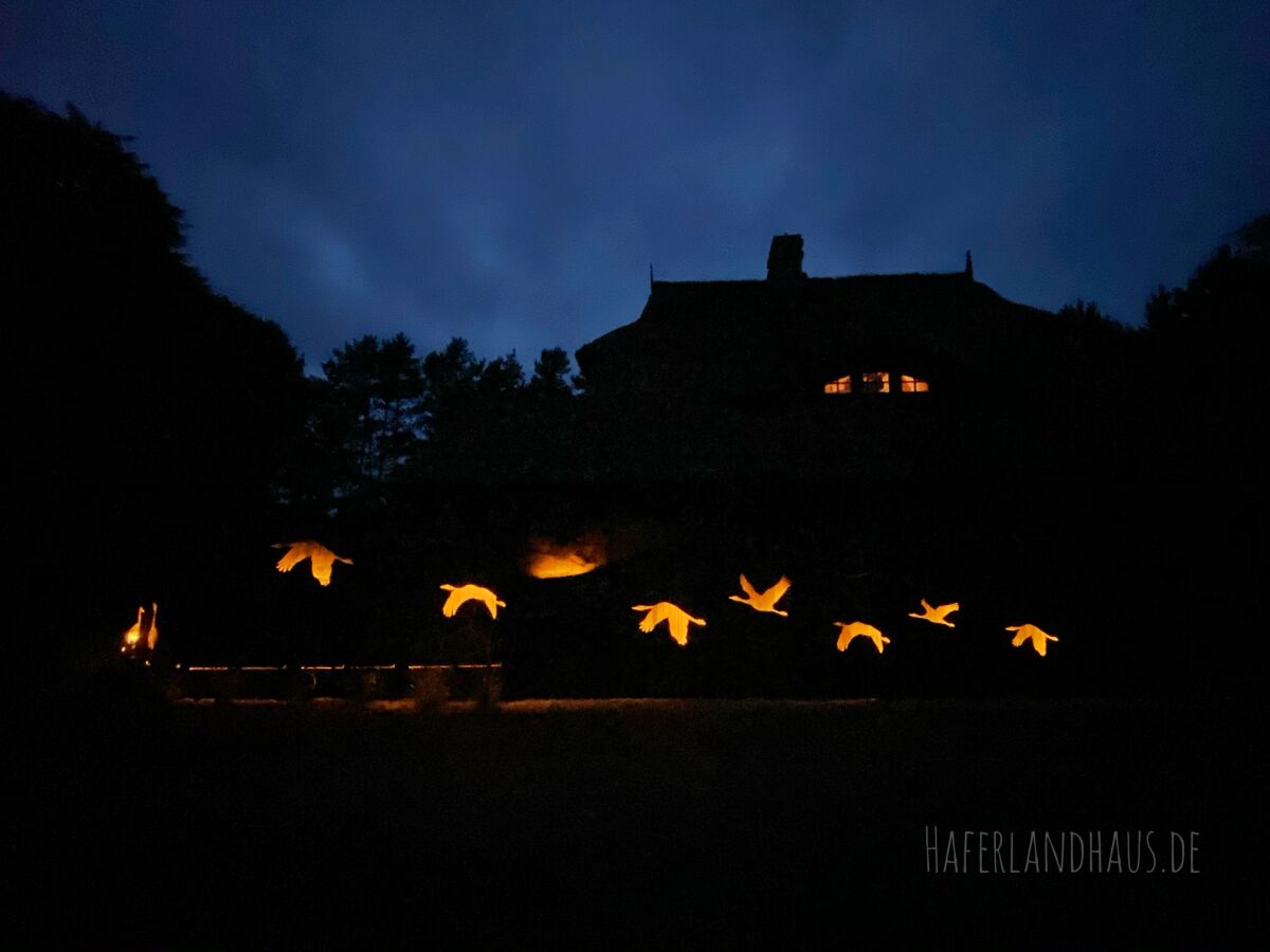 Holiday house Haferlandhaus - Outdoor photo 4