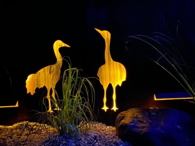 Holiday house Haferlandhaus - Outdoor photo 8