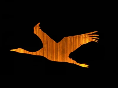 Holiday house Haferlandhaus - Outdoor photo 10