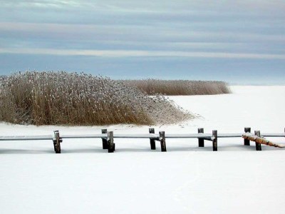 Holiday house Haferlandhaus - Environment photo 35