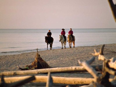 Holiday house Haferlandhaus - Environment photo 38