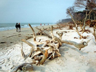 Holiday house Haferlandhaus - Environment photo 40