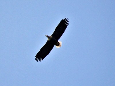 Holiday house 4 Personen Ferienhaus in Austrheim - Outdoor photo 16