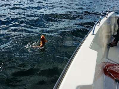 Holiday house 4 Personen Ferienhaus in Austrheim - Outdoor photo 17