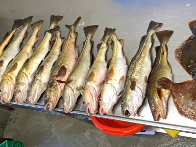 Holiday house 4 Personen Ferienhaus in Austrheim - Outdoor photo 33