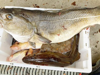 Holiday house 4 Personen Ferienhaus in Austrheim - Outdoor photo 34