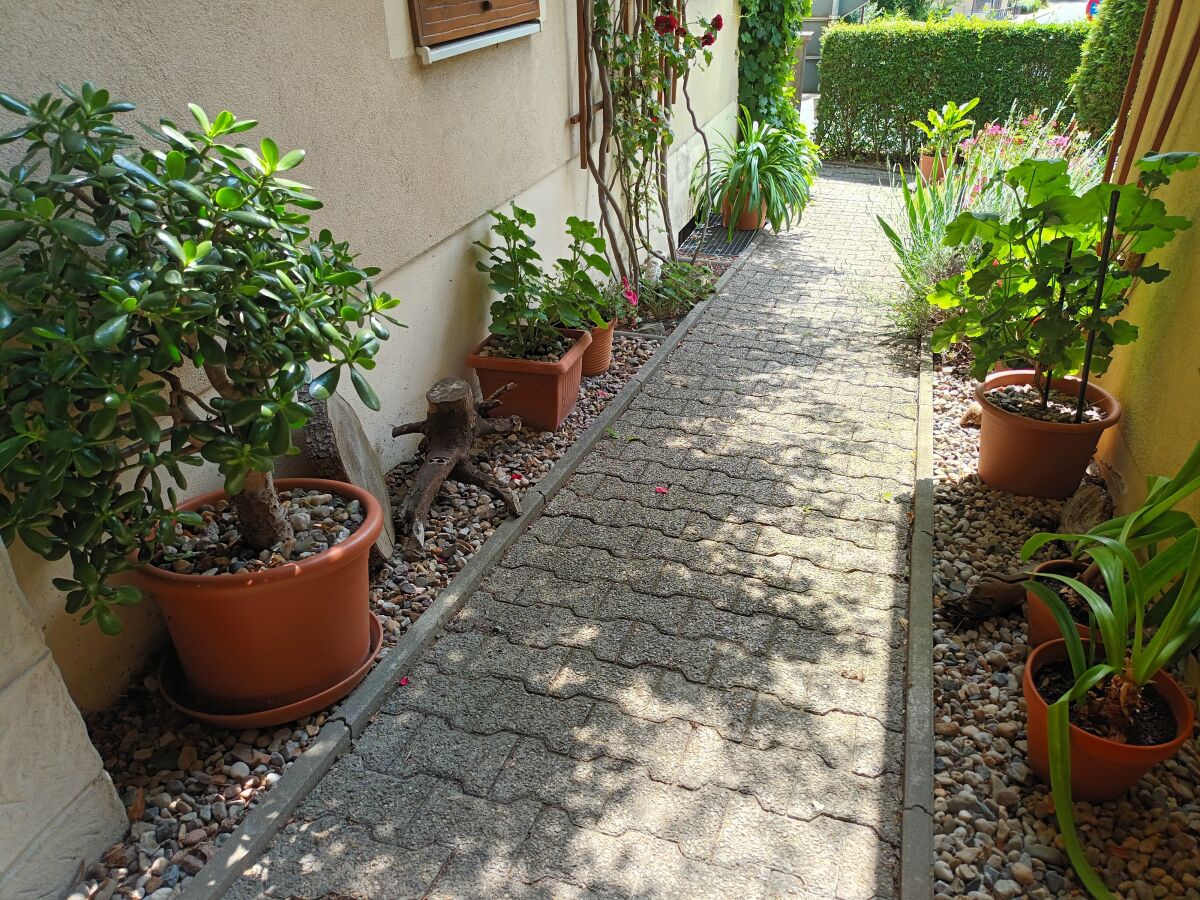 Holiday apartment "Big" at House Kühn - Outdoor photo 5