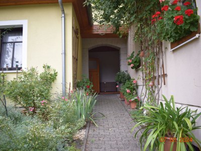 Holiday apartment "Big" at House Kühn - Outdoor photo 4