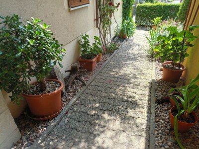 Holiday apartment "Big" at House Kühn - Outdoor photo 5