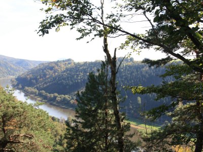 Holiday apartment "Big" at House Kühn - Environment photo 20