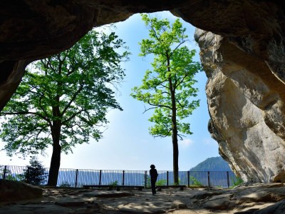 Holiday apartment "Big" at House Kühn - Environment photo 21