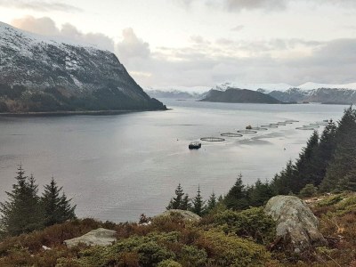 Holiday house 4 Personen Ferienhaus in Selje - Outdoor photo 27