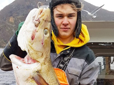 Holiday house 4 Personen Ferienhaus in Selje - Outdoor photo 30