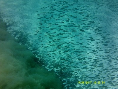 Apartment Villa Paradiso Asterios - Environment photo 16