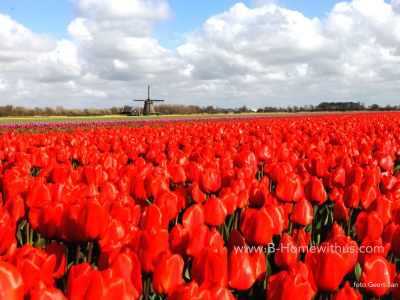 Holiday house Dijk 198 - Environment photo 25