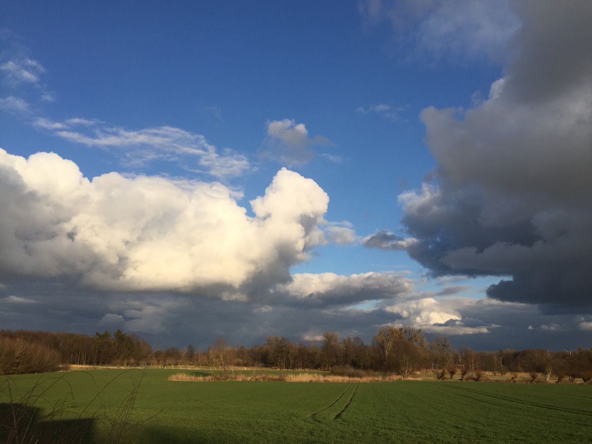 Holiday apartment in Landhaus Arcadia - Outdoor photo 5