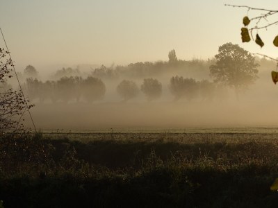 Holiday apartment in Landhaus Arcadia - Outdoor photo 6