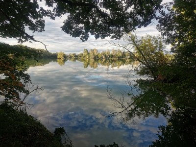 Holiday apartment in Landhaus Arcadia - Environment photo 31