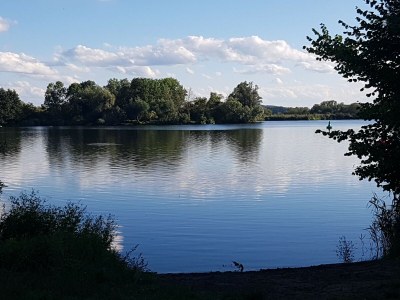 Holiday apartment in Landhaus Arcadia - Environment photo 32