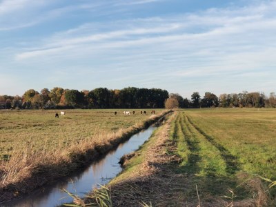 Holiday apartment in Landhaus Arcadia - Environment photo 33