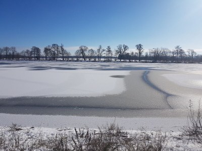 Holiday apartment in Landhaus Arcadia - Environment photo 34
