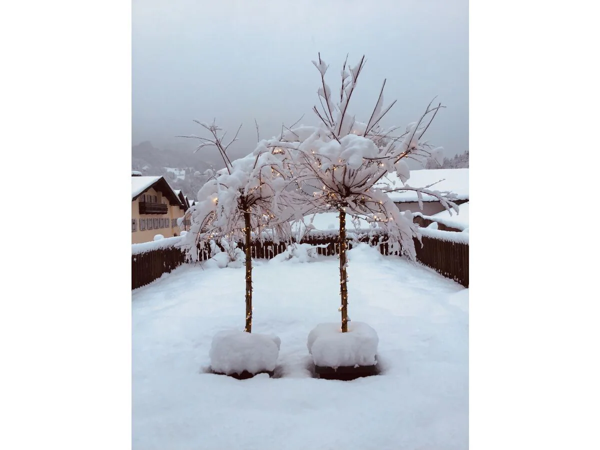 Holiday apartment Wendlinger - Outdoor photo 4