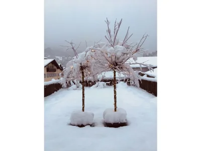 Holiday apartment Wendlinger - Outdoor photo 4