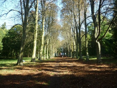 Apartment Apartment in Ennerich’s Valley - Environment photo 19