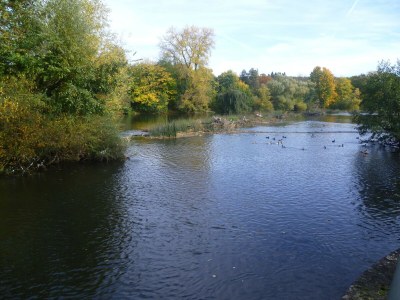 Apartment Apartment in Ennerich’s Valley - Environment photo 25