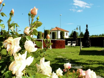 Holiday house Villa in Montecarlo with Pool and Scenic Views - Outdoor photo 3