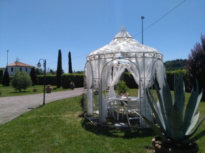 Holiday house Villa in Montecarlo with Pool and Scenic Views - Outdoor photo 38