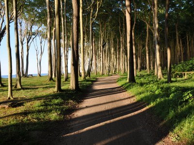 Holiday house Sonnenblume - Environment photo 21