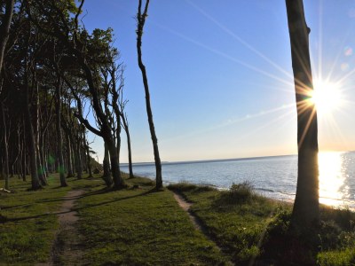 Holiday house Sonnenblume - Environment photo 22