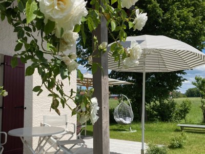 Holiday house Quartier-Hofmann - Outdoor photo 10