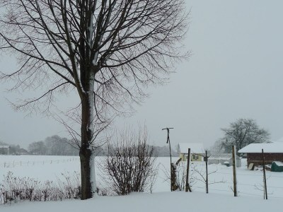 Holiday house Quartier-Hofmann - Outdoor photo 11