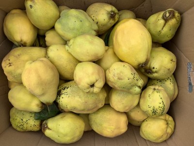 Holiday house Quartier-Hofmann - Environment photo 34