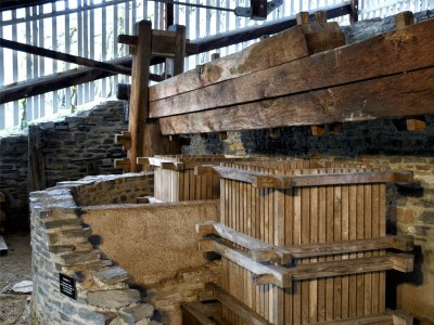 Holiday apartment Loreleyblick (OG) im Weitblick - Environment photo 17