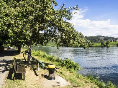 Holiday apartment Loreleyblick (OG) im Weitblick - Environment photo 19