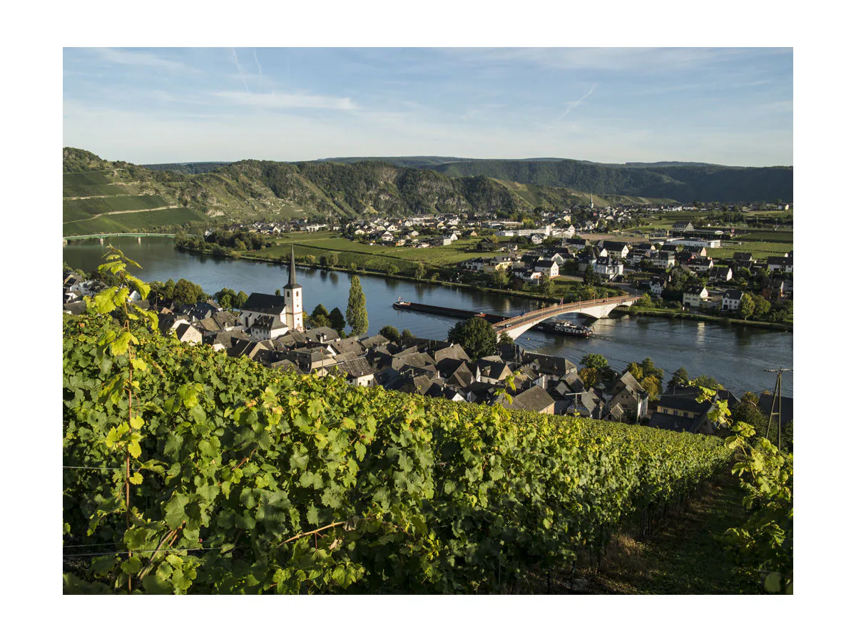 Holiday apartment Hochgewächs (DG) im Weitblick - Outdoor photo 5