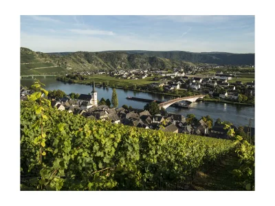 Holiday apartment Hochgewächs (DG) im Weitblick - Outdoor photo 5