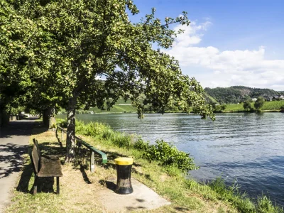 Holiday apartment Hochgewächs (DG) im Weitblick - Environment photo 16