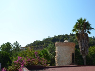 Holiday house with pool, beach at 900 m - Outdoor photo 12