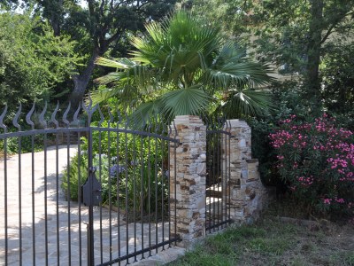 Holiday apartment Jacaranda - Outdoor photo 6