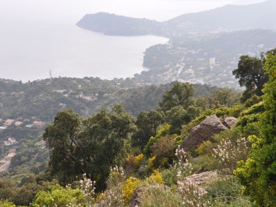 Holiday apartment Jacaranda - Environment photo 25