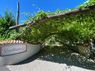 Holiday apartment Schrenteweinhof - Outdoor photo 7