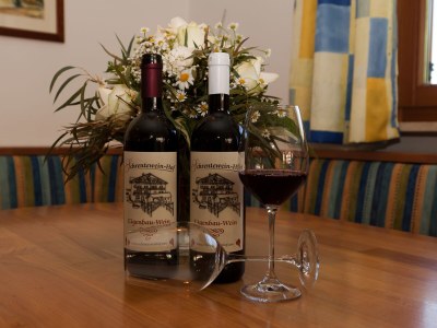 Holiday apartment Schrenteweinhof - Outdoor photo 11