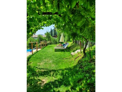 Holiday apartment Schrenteweinhof - Outdoor photo 16