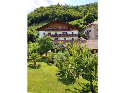 Holiday apartment Schrenteweinhof - Outdoor photo 18