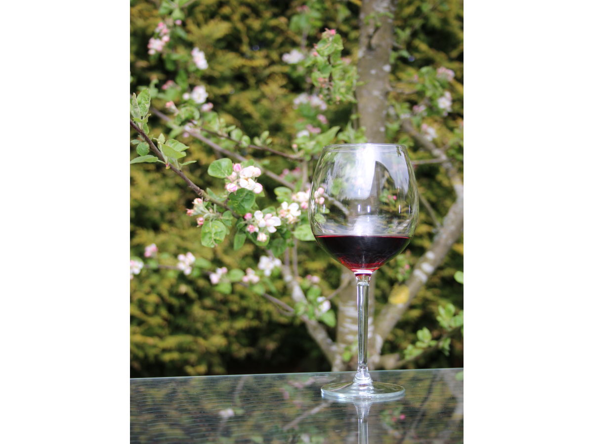 Holiday house Casa Moderna - Outdoor photo 5