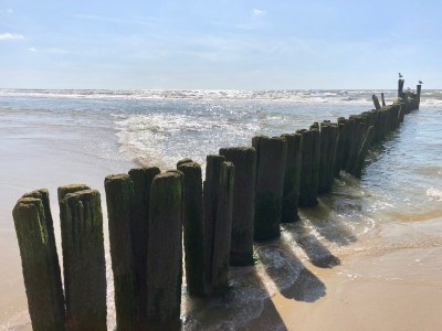 Holiday apartment Sonneduyn 2 - Outdoor photo 8